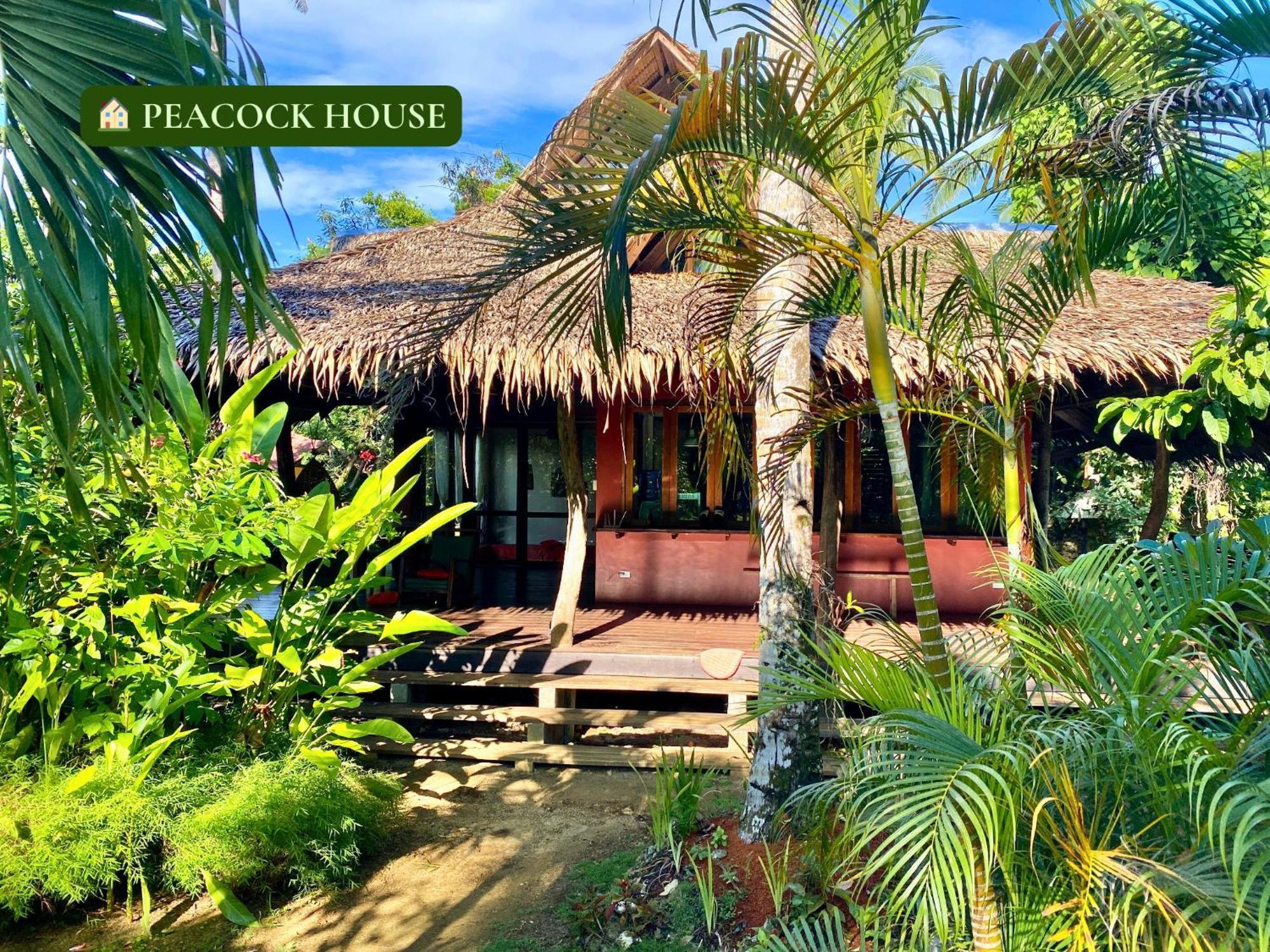Emerald House Village General Luna  Pokoj fotografie